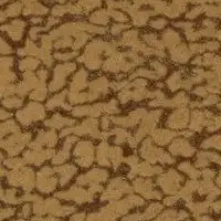 флок3
