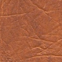 Натуральная кожа6